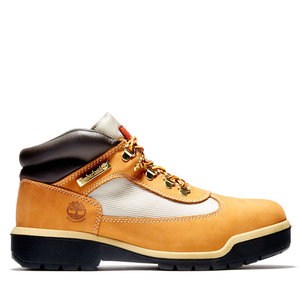 Tenisi Timberland Barbati Maro/Negrii - Waterproof Field Boots - Romania - DJVECM108